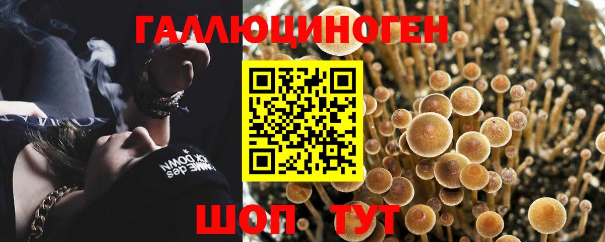 Псилоцибиновые грибы MAGIC MUSHROOMS  Вход с VPN  Ковров 